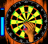 Pro Darts (USA) In game screenshot
